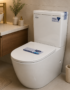 WC complet blanc ovale Btw Moon réf. 1831 — sanitaire professionnel à poser qualité Maroc