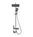Colonne de douche avec mitigeur gris Randelly 6567 – Mitigeur thermostatique intégré, design moderne épuré